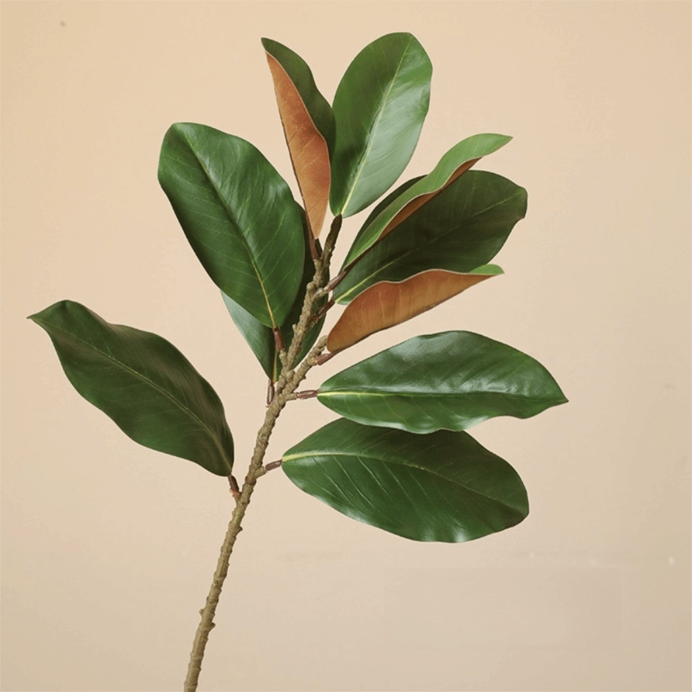 Artificial Hanging Plants - 57cm 인공 목련 잎 고무 식물