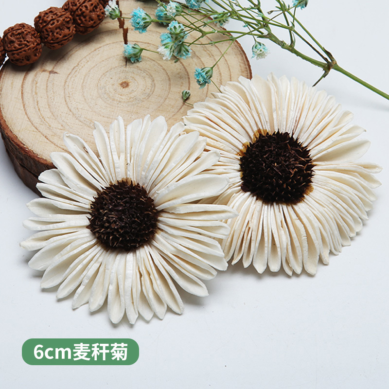 10PCS 아프리카 데이지 손으로 만든 DriedFlo - Home Decor Daisy 리뷰 및 가격