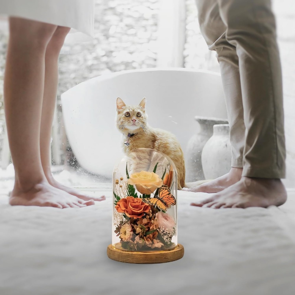 우아한 보존화: 특별한 날을 위한 영원한 사랑 - Home Decor Tulip 리뷰 및 가격