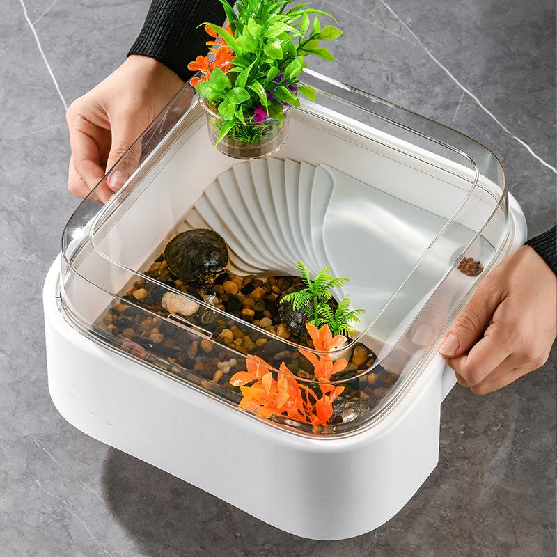 투명한 거북이 사육장, 햇빛 받는 플랫폼이 있는 데스크 - Home Decor Habitat 리뷰 및 가격