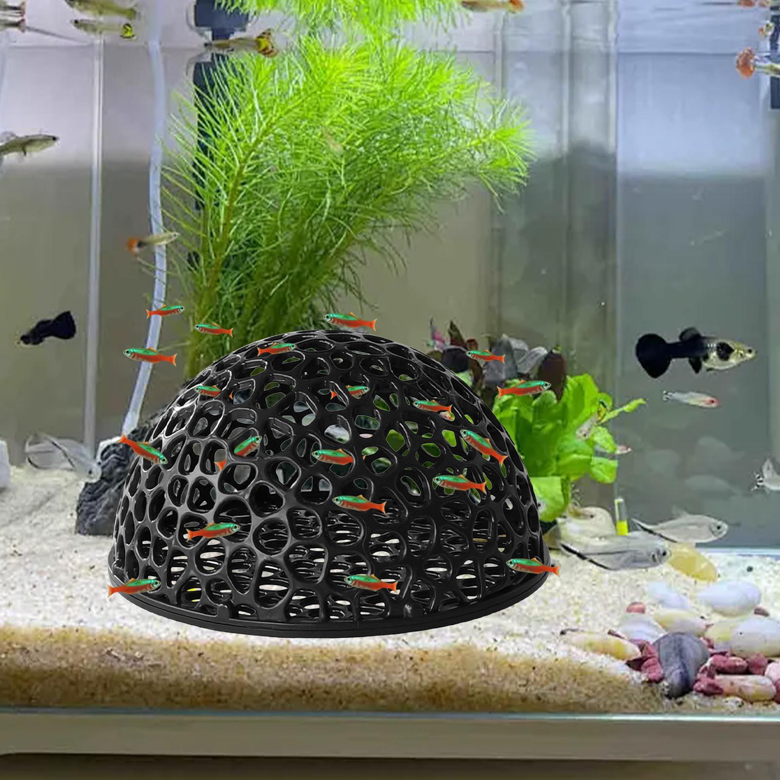 새우 번식 동굴 어항 새우 은신처 수족관 장식품 내구성 - Home Decor Habitat 리뷰 및 가격