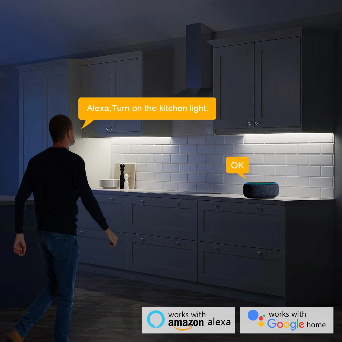 스마트 홈 Zigbee Tuya 음성 제어 LED 조명 - Home Decor App 리뷰 및 가격