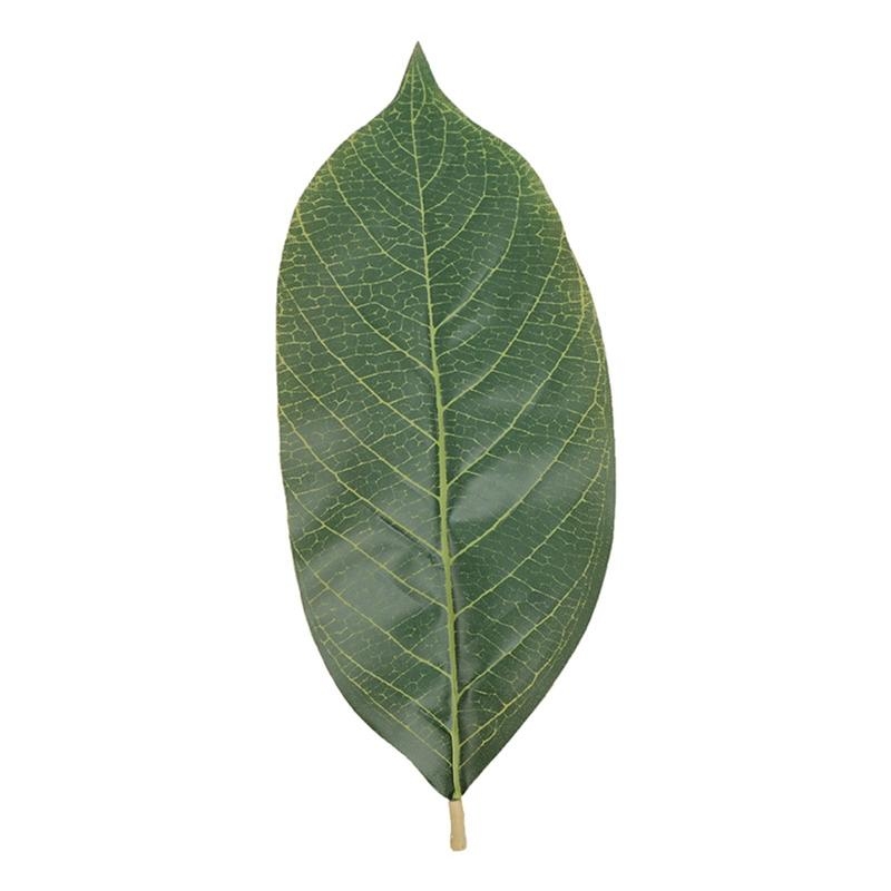 인공 녹색 목련 잎 웨딩 장식을위한 50 팩 홈 장식  - Artificial Hanging Plants 리뷰 및 가격