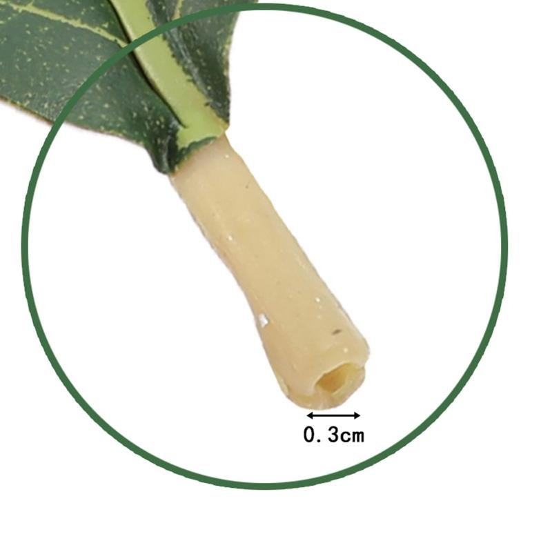 인공 녹색 목련 잎 웨딩 장식을위한 50 팩 홈 장식  - Artificial Hanging Plants 리뷰 및 가격