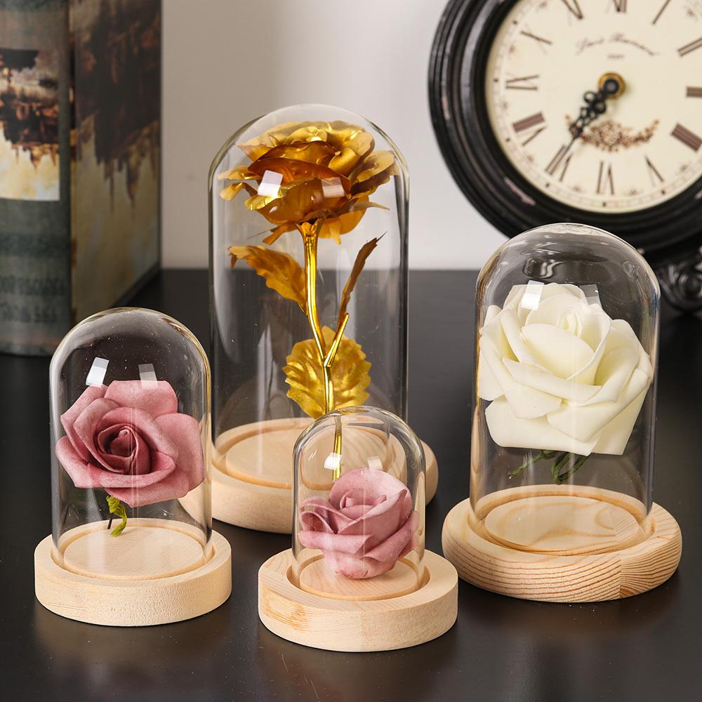 홈데코 식물 항아리 테라리움 유리 화병 먼지 덮개 나무 - Home Decor Vase With Flowers 리뷰 및 가격