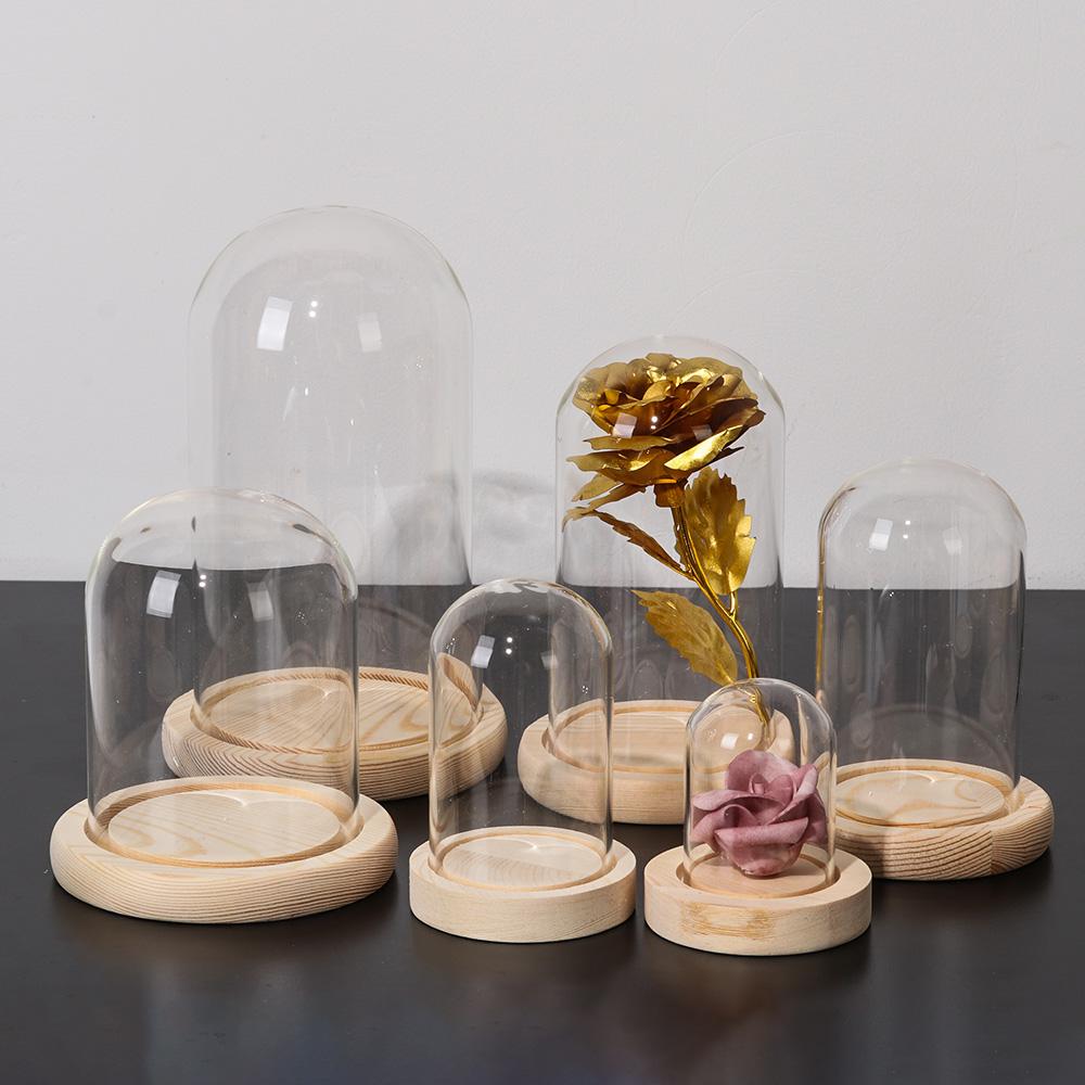 홈데코 식물 항아리 테라리움 유리 화병 먼지 덮개 나무 - Home Decor Vase With Flowers 리뷰 및 가격