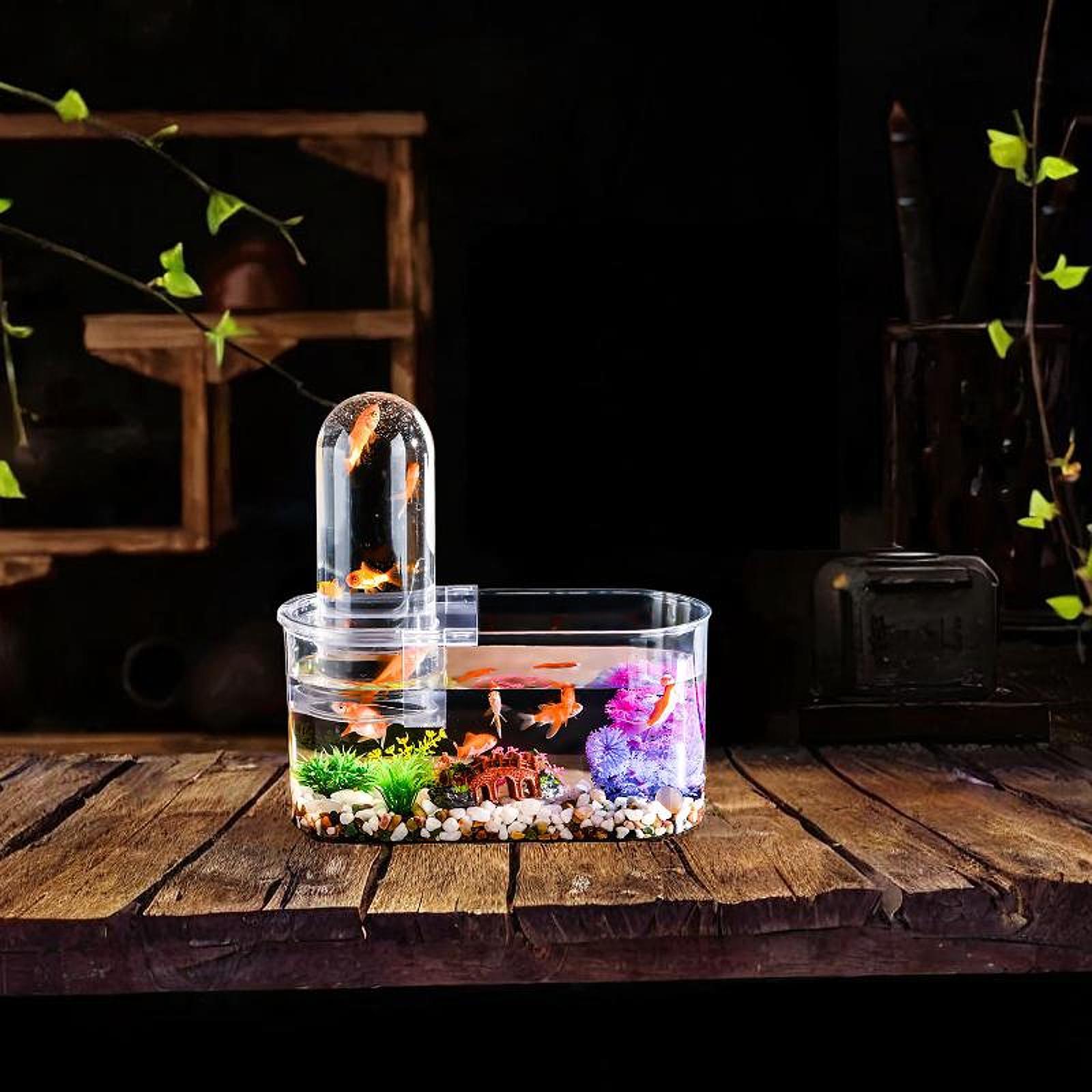 통풍구가 있는 튼튼한 미니 어항, 뚜껑이 있는 양서류  - Home Decor Habitat 리뷰 및 가격