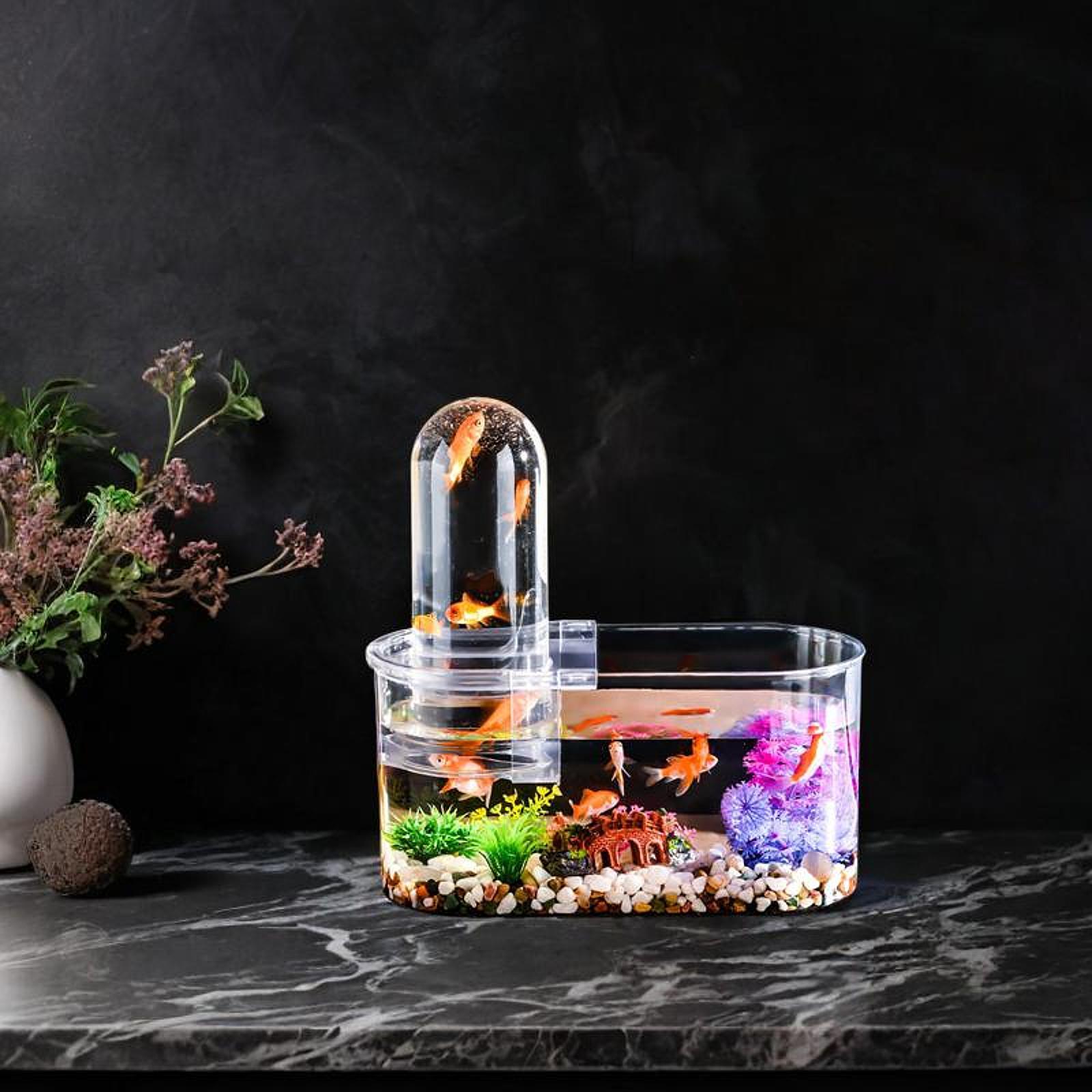 통풍구가 있는 튼튼한 미니 어항, 뚜껑이 있는 양서류  - Home Decor Habitat 리뷰 및 가격