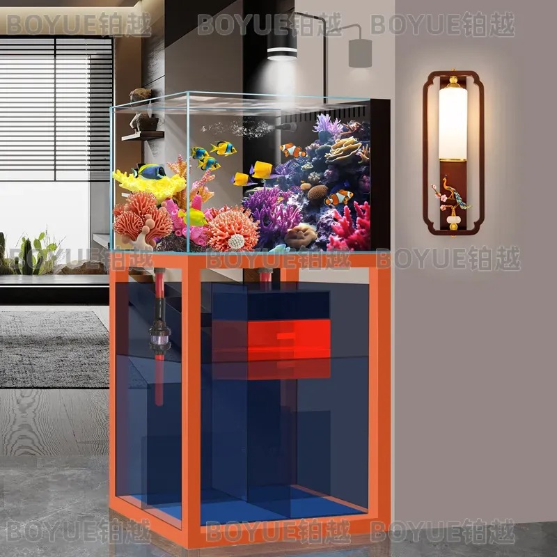 초투명 유리 해수어항 바닥 여과기 포함 소형 중형 산호 - Home Decor Habitat 리뷰 및 가격