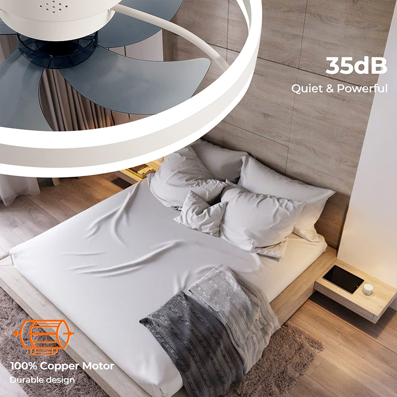 APP 리모컨이 있는 LED 천장 조명 팬, 무소음 팬 - Home Decor App 리뷰 및 가격